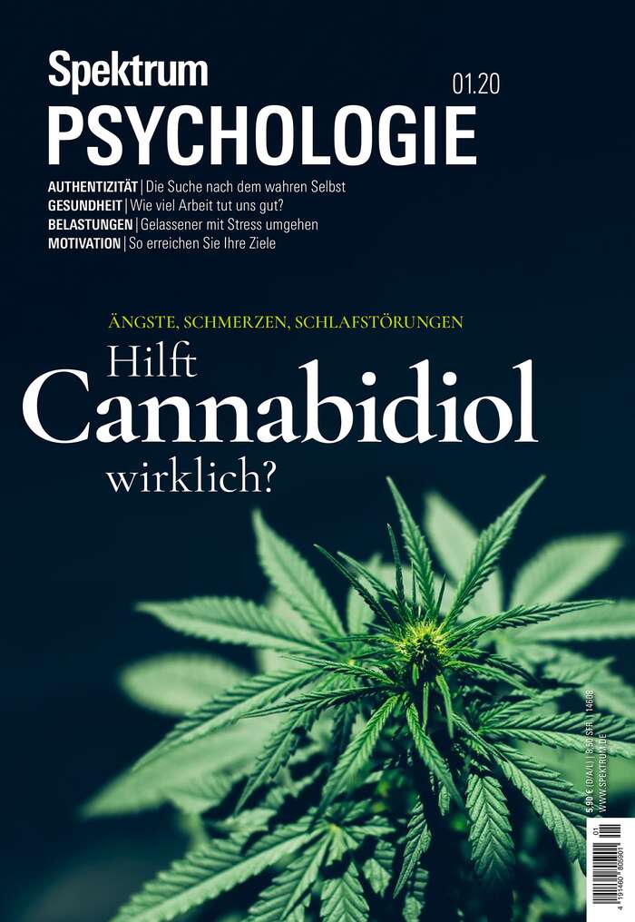 Spektrum Psychologie magazine covers 6