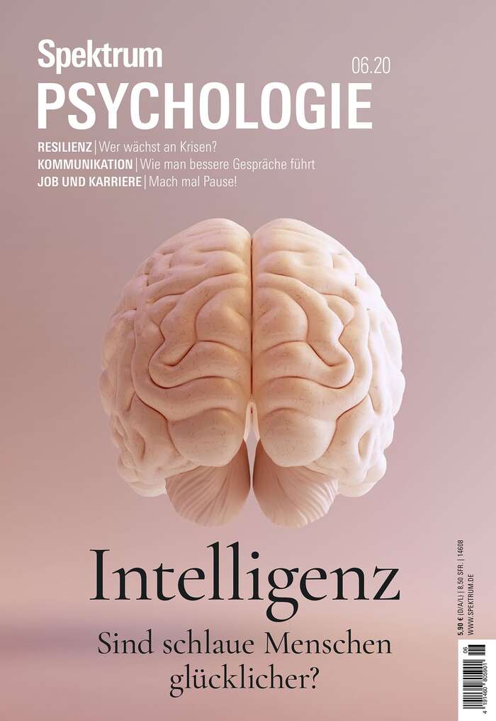 Spektrum Psychologie magazine covers 5