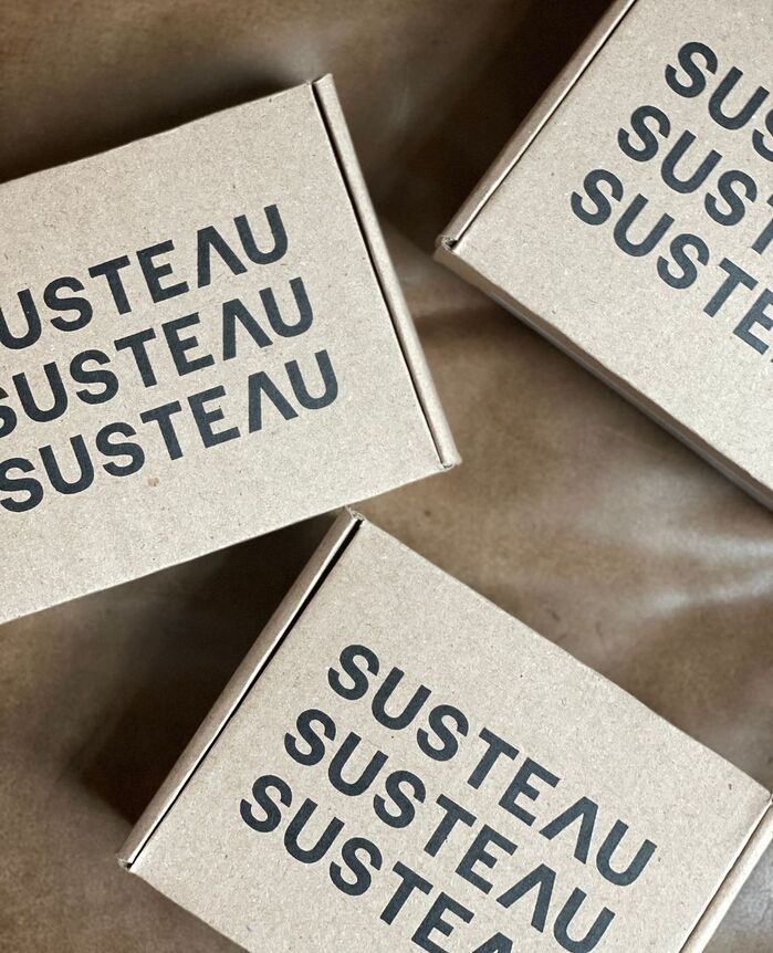 Susteau 5