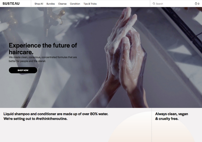 Website homepage.