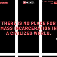 Witness to Mass Incarceration website