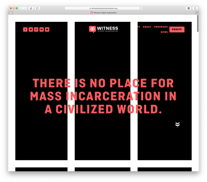 Witness to Mass Incarceration website 1
