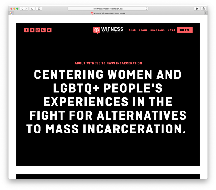 Witness to Mass Incarceration website 2