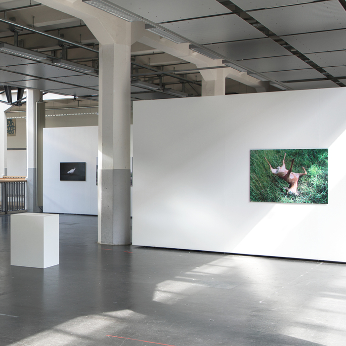 Ich hatte vom Feeling her ein gutes Gefühl–Alex Theis photography exhibition 4