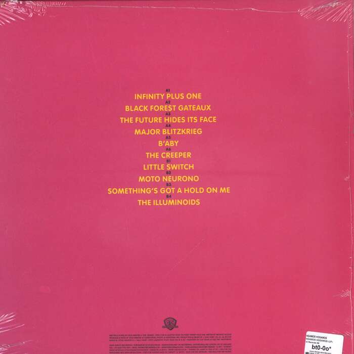 Higamos Hogamos – Higamos Hogamos LP back cover (DC, 2009).