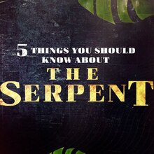 <cite>The Serpent</cite> (2021) TV series
