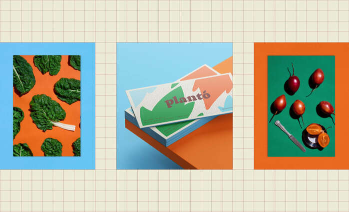 Plantó 3