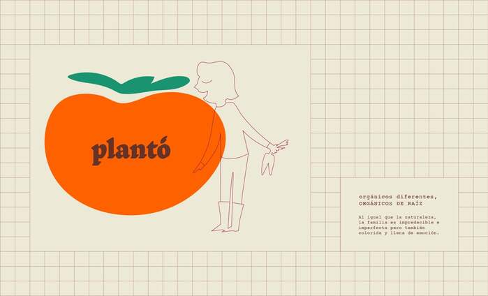 Plantó 2