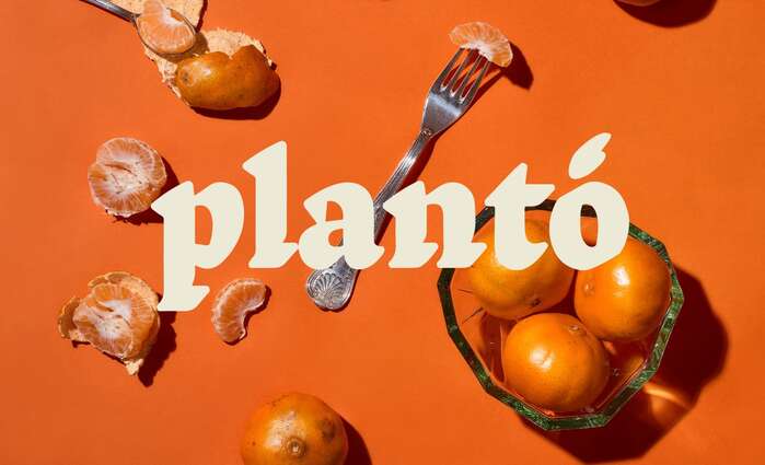 Plantó 1