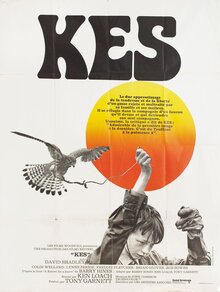 <cite>Kes</cite> French movie poster