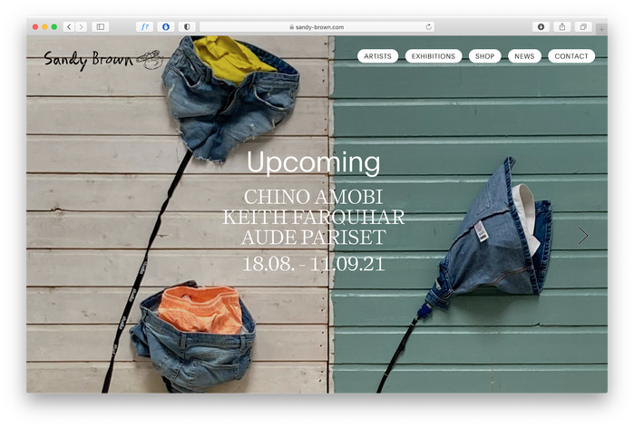 Sandy Brown website 1