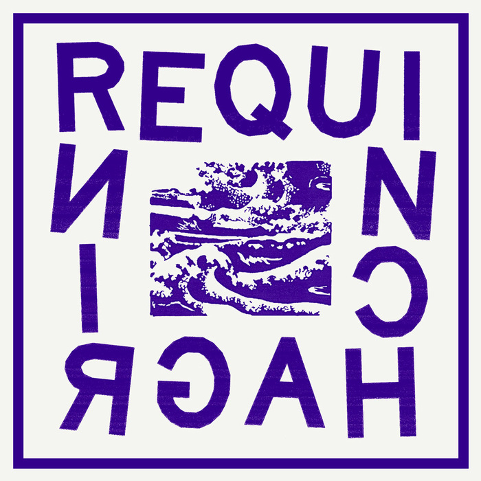 Requin Chagrin – Requin Chagrin (Objet Disque) album art 1
