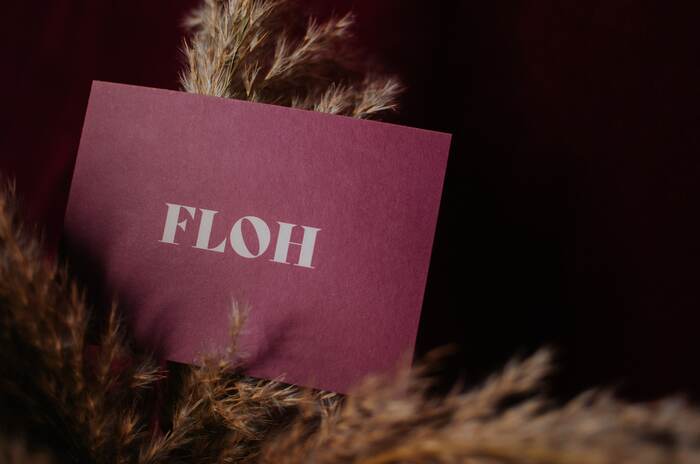 Floh 4