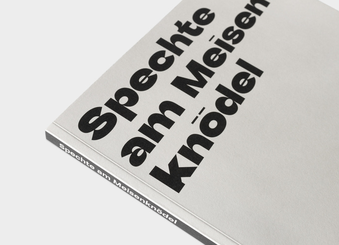 Spechte am Meisenknödel 2