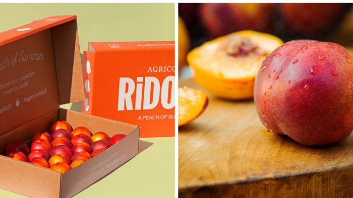 Agricola Ridolfi 4