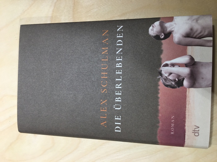 Die Überlebenden by Alex Schulman (dtv) 1