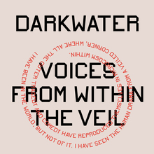 <cite>Darkwater: Voices from Within the Veil </cite>by W.E.B. Du Bois (Verso, 2021)