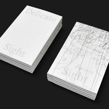 <cite>A Delicate Sight</cite> by Sam Winston