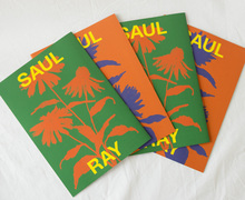 <cite>Saul Ray</cite> magazine