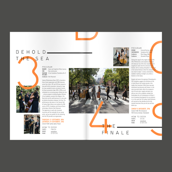 Sydney Youth Orchestra 6