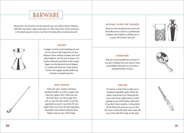 The Negroni by Matt Hranek (Workman) 4