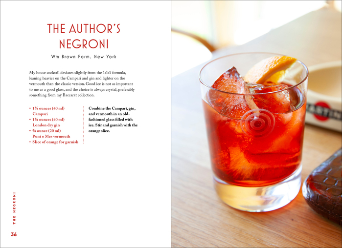 The Negroni by Matt Hranek (Workman) 5