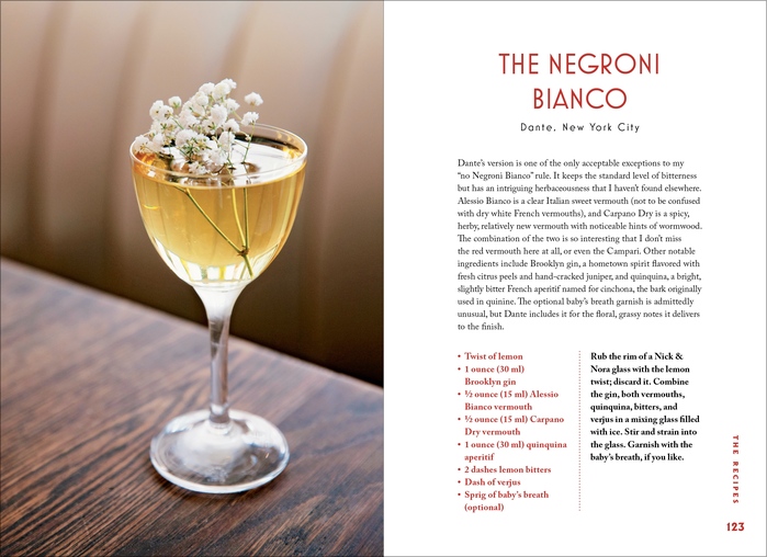 The Negroni by Matt Hranek (Workman) 6