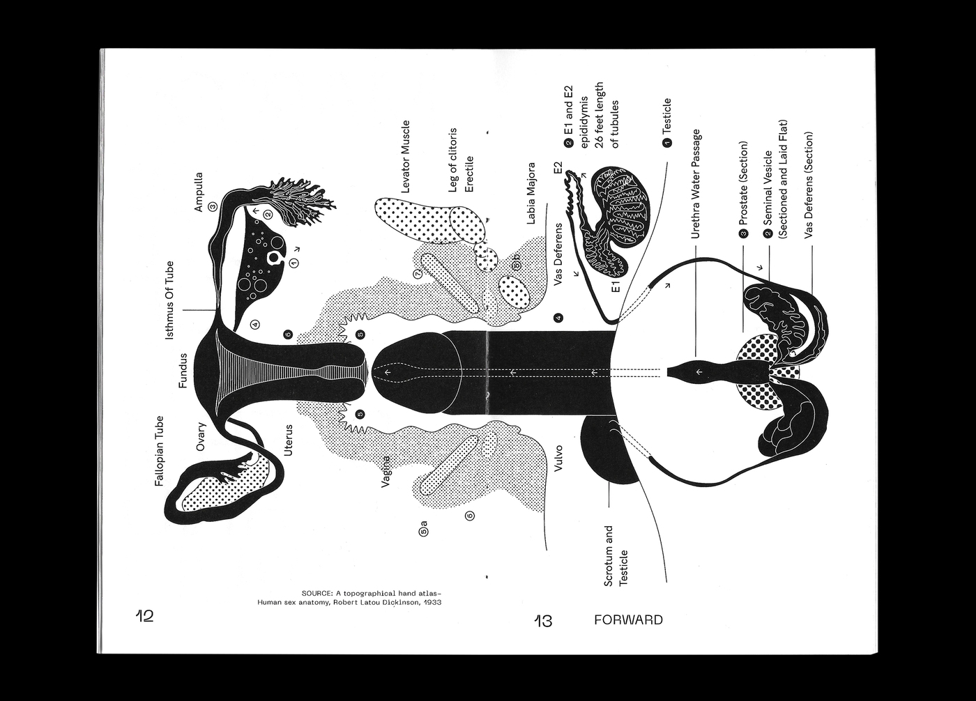 perverted-norm-normal-pervert-by-kuang-yi-ku-fonts-in-use