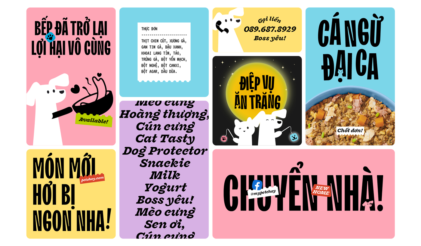 PetChoy rebranding