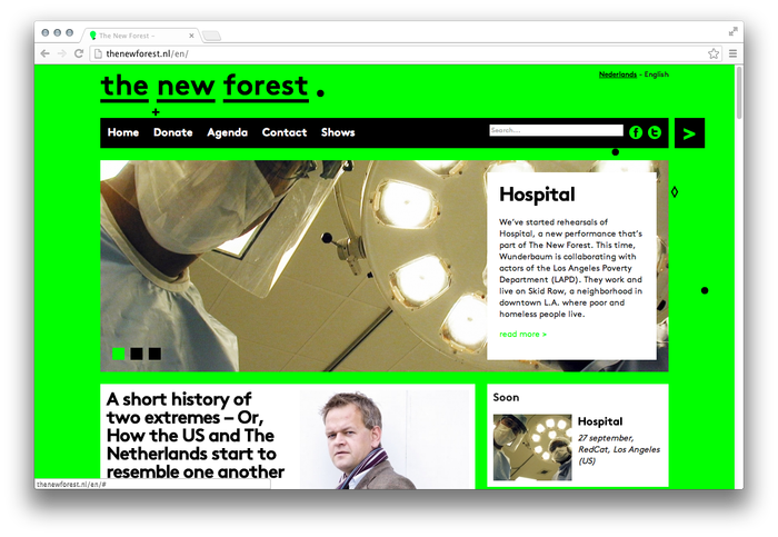 The New Forest website 2