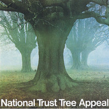 National Trust Tree Appeal Poster