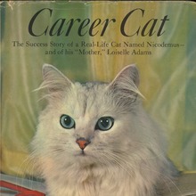 <cite>Career Cat</cite>
