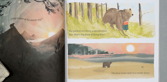 The Bear and her Book by Frances Tosdevin and Sophia O’Connor 2