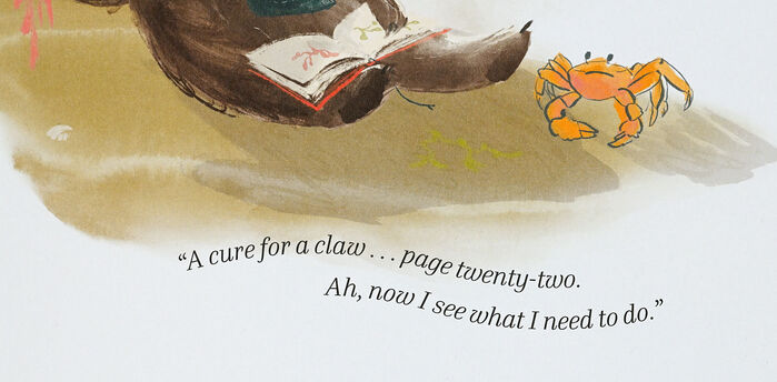 The Bear and her Book by Frances Tosdevin and Sophia O’Connor 4