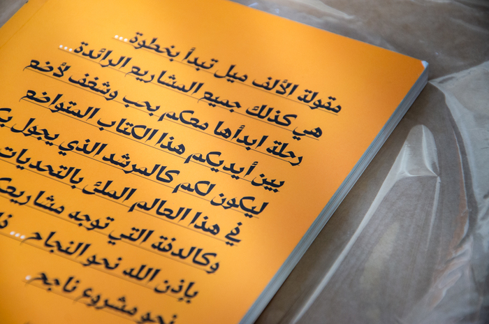My Business Towards Success by Farida Hamed 7