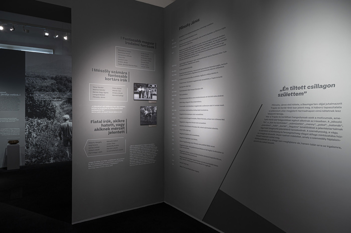 Két portré – Mészöly–Pilinszky 100 exhibition 1