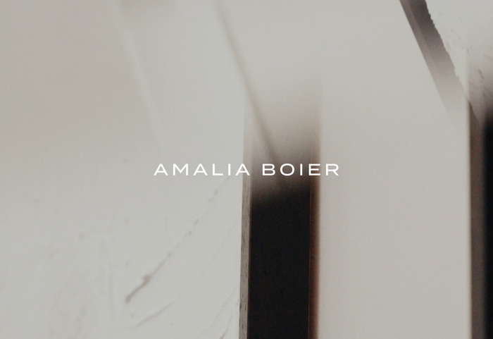 Amalia Boier branding and website 1