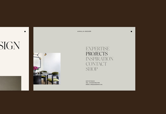 Amalia Boier branding and website 3