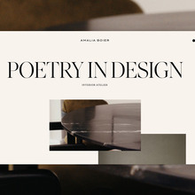 Amalia Boier branding and website