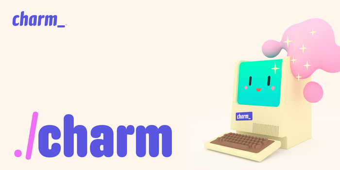 Charm website and logo 4