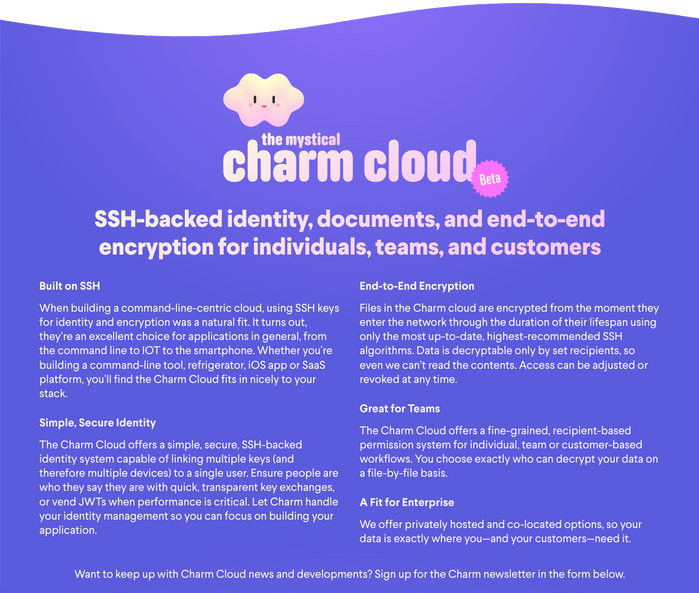 Charm website and logo 3