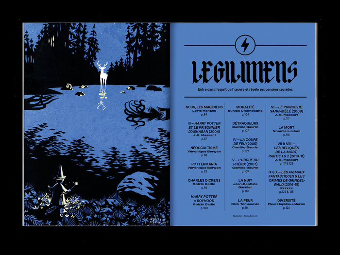 La Septième Obsession, “Harry Potter” issue 2