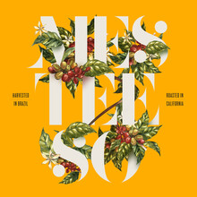 Mesteeso by The Brazilian Coffee Co.