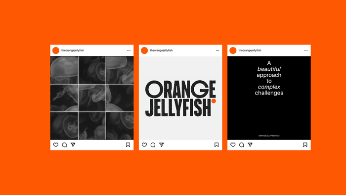 Orange Jellyfish branding 4