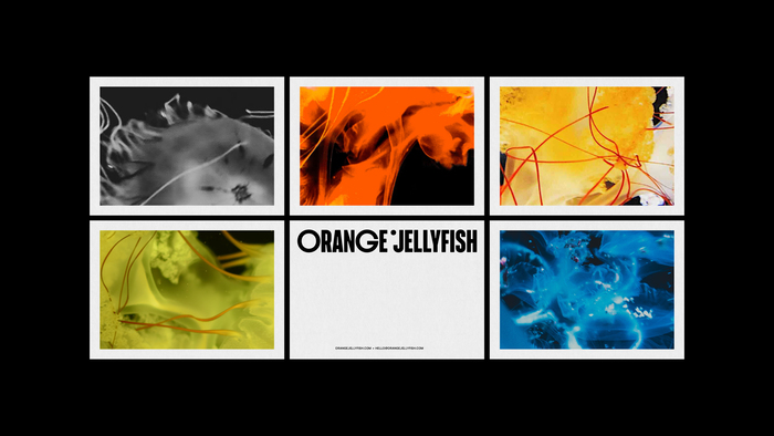 Orange Jellyfish branding 2