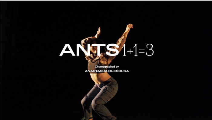 ANTS 1+1=3 3