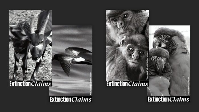 Extinction Claims project and exhibition 2