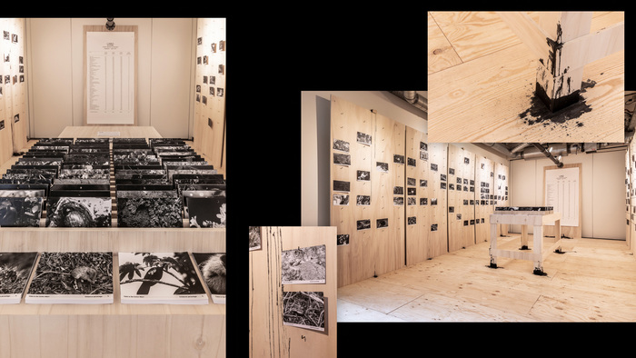Extinction Claims project and exhibition 8