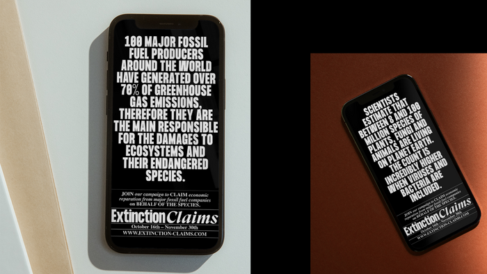 Extinction Claims project and exhibition 4