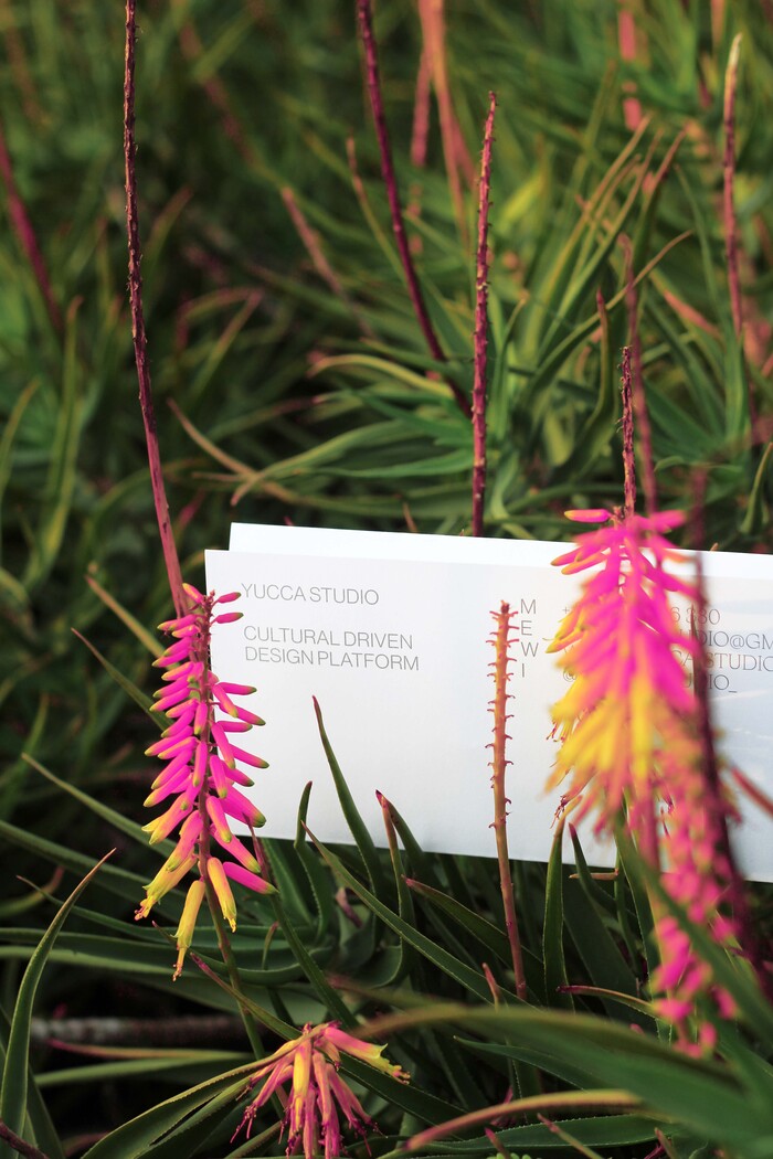 Yucca Studio visual identity 1
